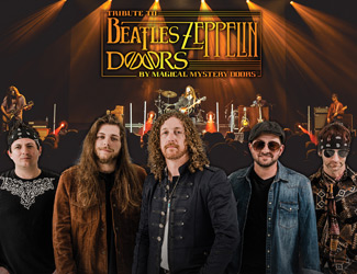 Magical Mystery Doors